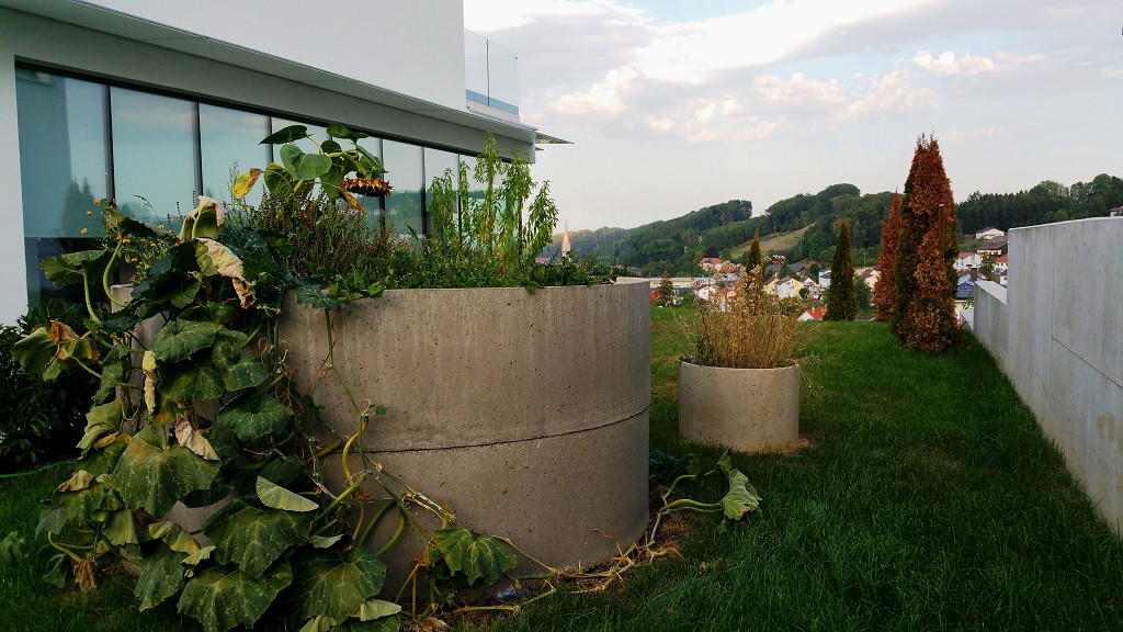 Beton Design - Ries ProDesign – DI Jana Ries - Innenarchitektur Linz