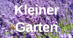 Kleiner Garten - Ries ProDesign – DI Jana Ries - Innenarchitektur Linz