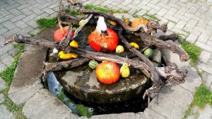 Gartengestaltung - Ries ProDesign – DI Jana Ries - Innenarchitektur Linz