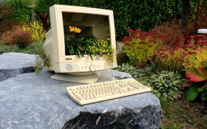 Gartengestaltung - Ries ProDesign – DI Jana Ries - Innenarchitektur Linz
