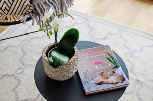 Home Staging - Ries ProDesign – DI Jana Ries - Innenarchitektur Linz